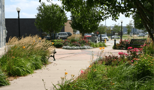 Commercial Landscape Design