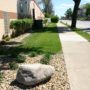 mosher-landscaping-commercial-sidewalk