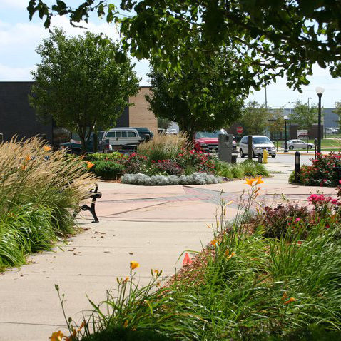 mosher-landscaping-commercial-courtyard-bushes