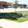 mosher-landscaping-commercial-select-foods-parking-lot