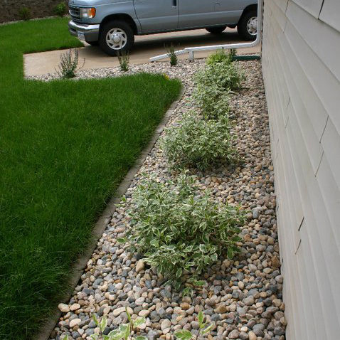 mosher-landscaping-residential-bushes
