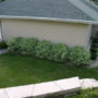 mosher-landscaping-residential-backyard-bushes